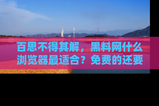 百思不得其解，黑料网什么浏览器最适合？免费的还要能吃瓜太难了！