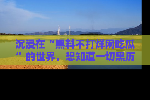 沉浸在“黑料不打烊网吃瓜”的世界，想知道一切黑历史与内幕信息的网站！