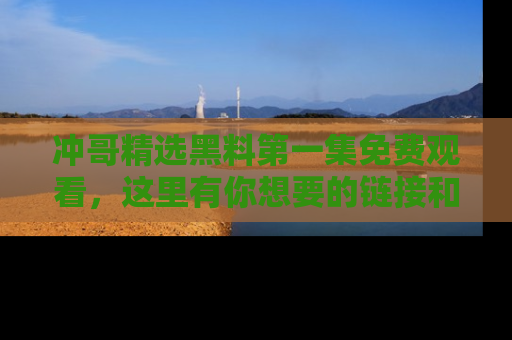 冲哥精选黑料第一集免费观看，这里有你想要的链接和内幕！