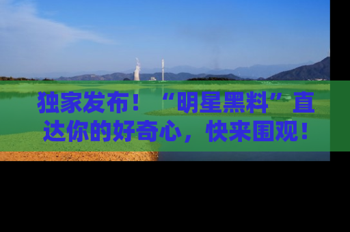独家发布！“明星黑料”直达你的好奇心，快来围观！