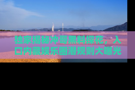 独家揭秘冲哥黑料探花，入口内藏娱乐圈潜规则大曝光