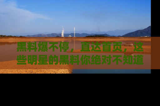 黑料爆不停，直达首页，这些明星的黑料你绝对不知道！