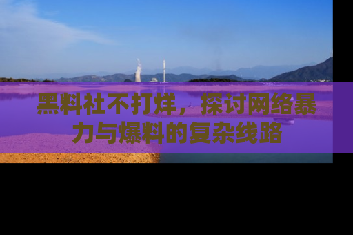 黑料社不打烊，探讨网络暴力与爆料的复杂线路