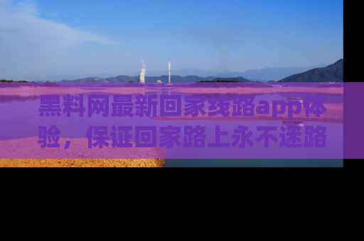 黑料网最新回家线路app体验，保证回家路上永不迷路顺畅