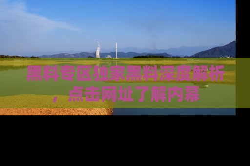 黑料专区独家黑料深度解析，点击网址了解内幕