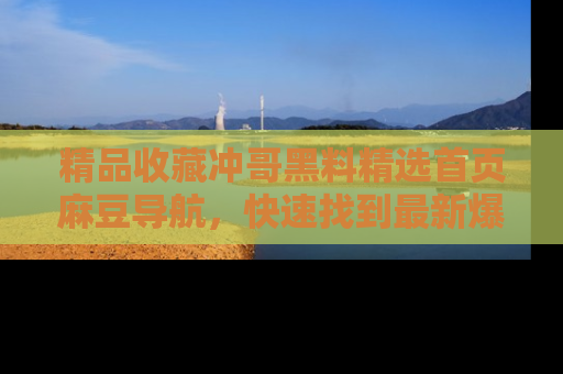 精品收藏冲哥黑料精选首页麻豆导航，快速找到最新爆料