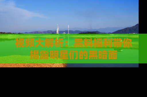 视频大解析：黑料福利带你揭露明星们的黑暗面