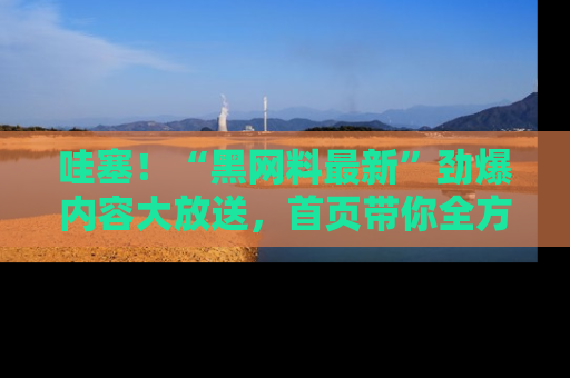 哇塞！“黑网料最新”劲爆内容大放送，首页带你全方位了解哦，小可爱们