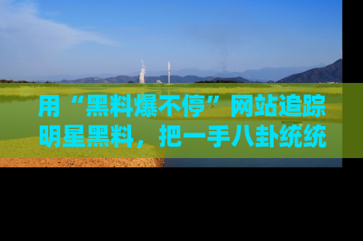 用“黑料爆不停”网站追踪明星黑料，把一手八卦统统收进你的后宫中！