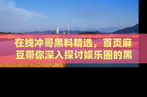 在线冲哥黑料精选，首页麻豆带你深入探讨娱乐圈的黑暗面