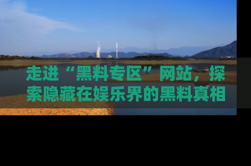 走进“黑料专区”网站，探索隐藏在娱乐界的黑料真相
