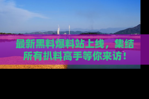最新黑料爆料站上线，集结所有扒料高手等你来访！